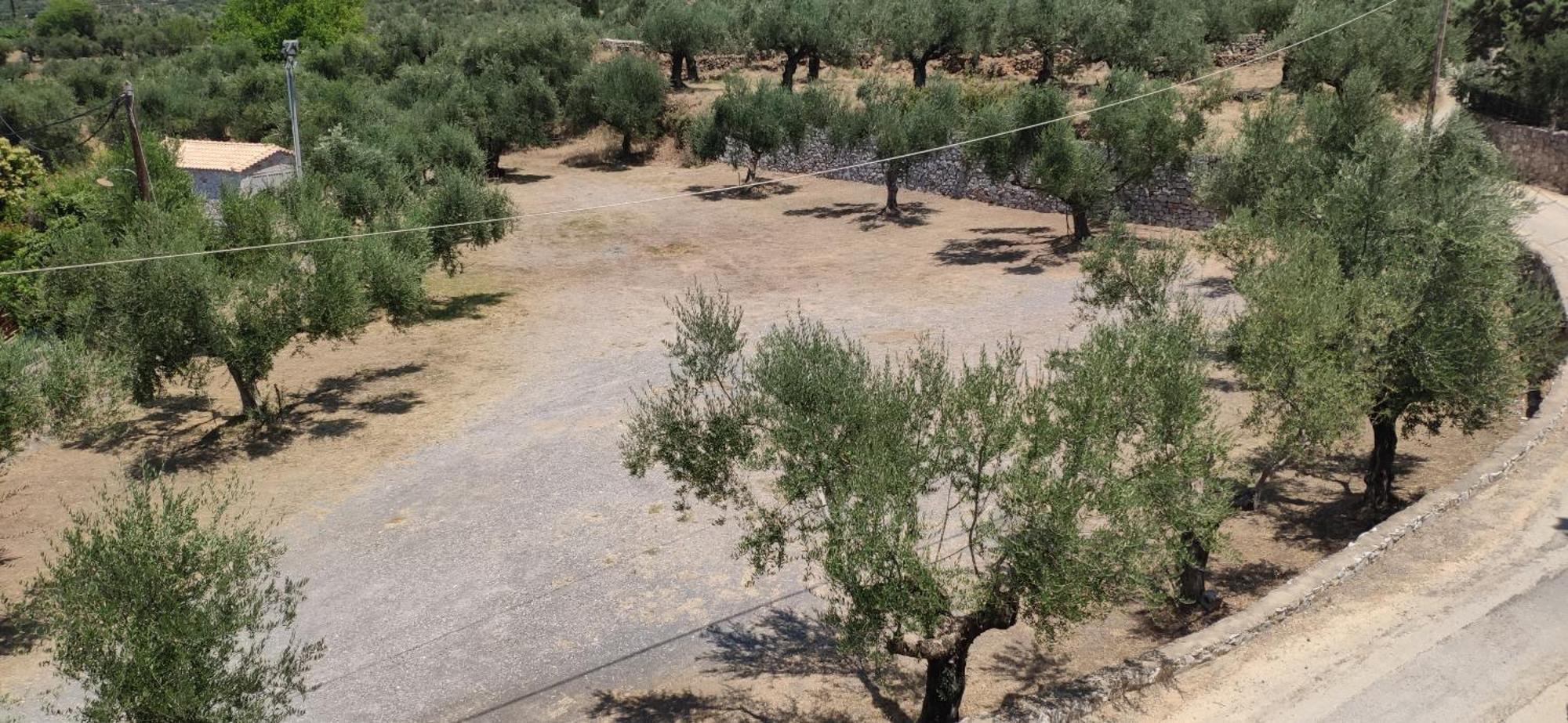 אפרטהוטל קלמאטה Polas Residencies מראה חיצוני תמונה